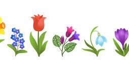 pictures of spring plants with flowers