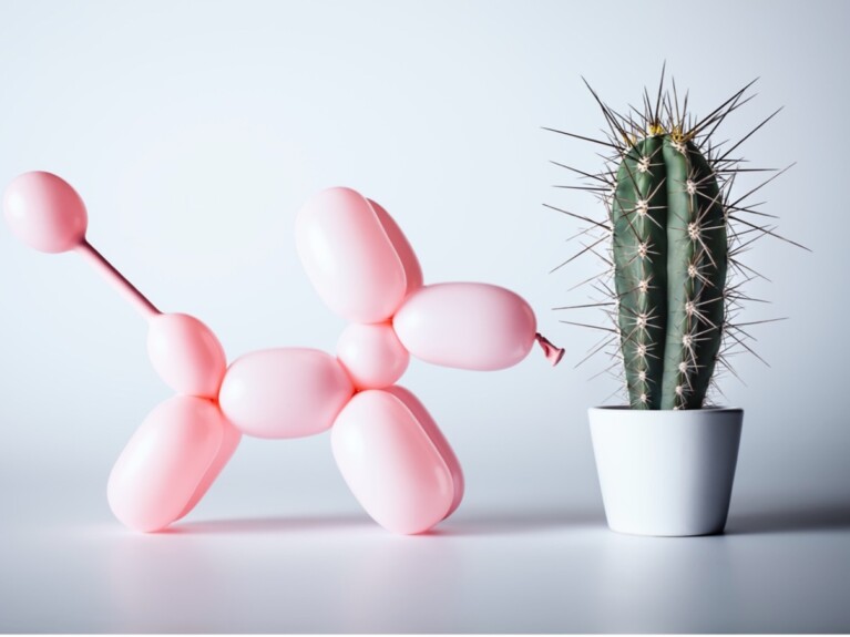 Balloon animal facing cactus thorns