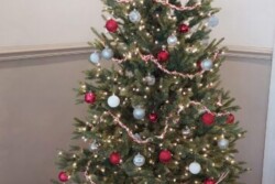 2024 NARFE Chapter 0151 Picnic