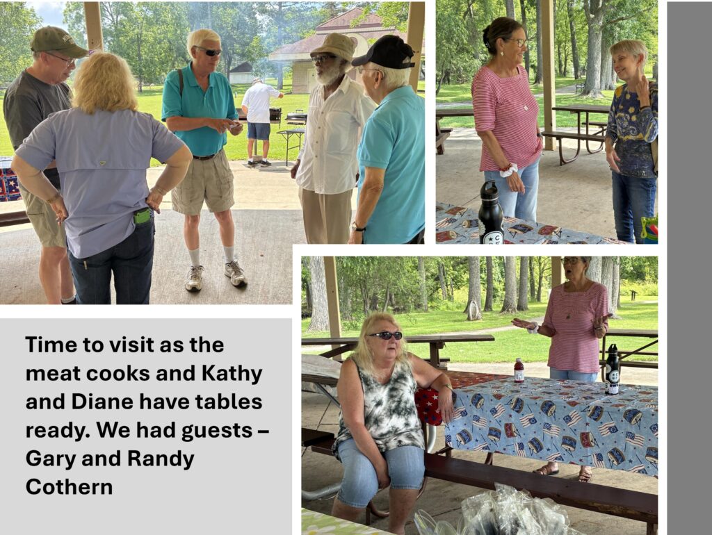 People standing around visiting at picnic.
