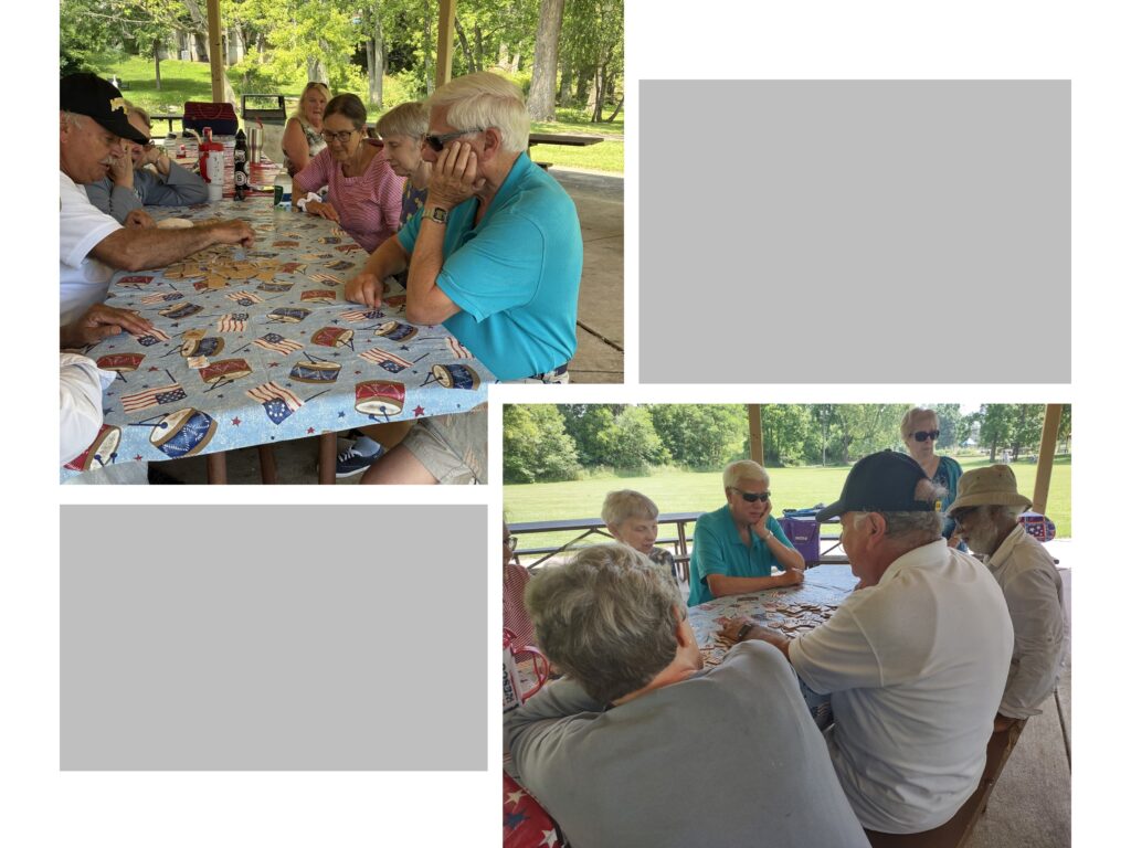 2 pictures of picnic attendees playing game at table