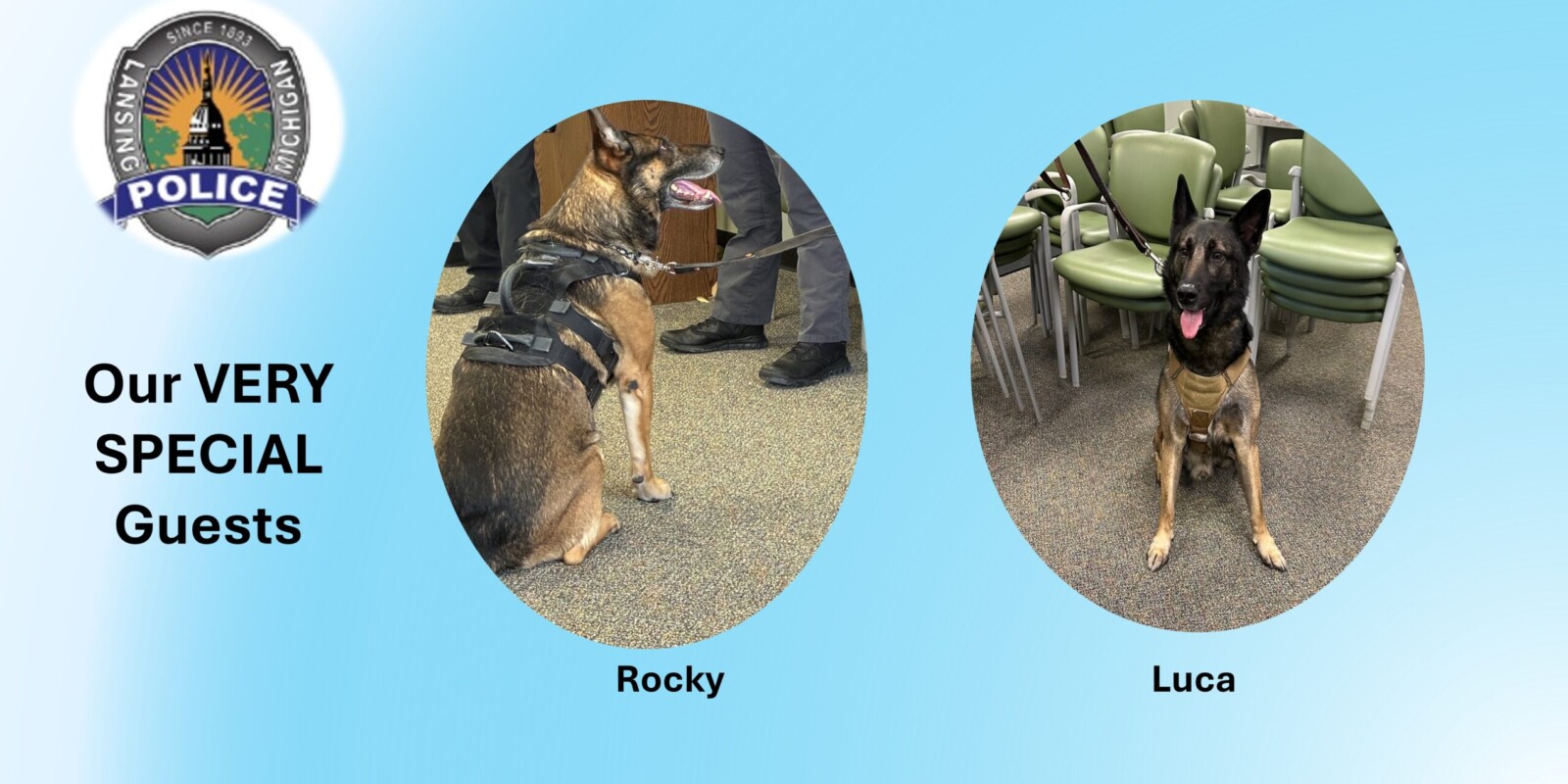 K-9 Rocky and Luca sitting for pictures