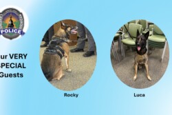 K-9 Rocky and Luca sitting for pictures