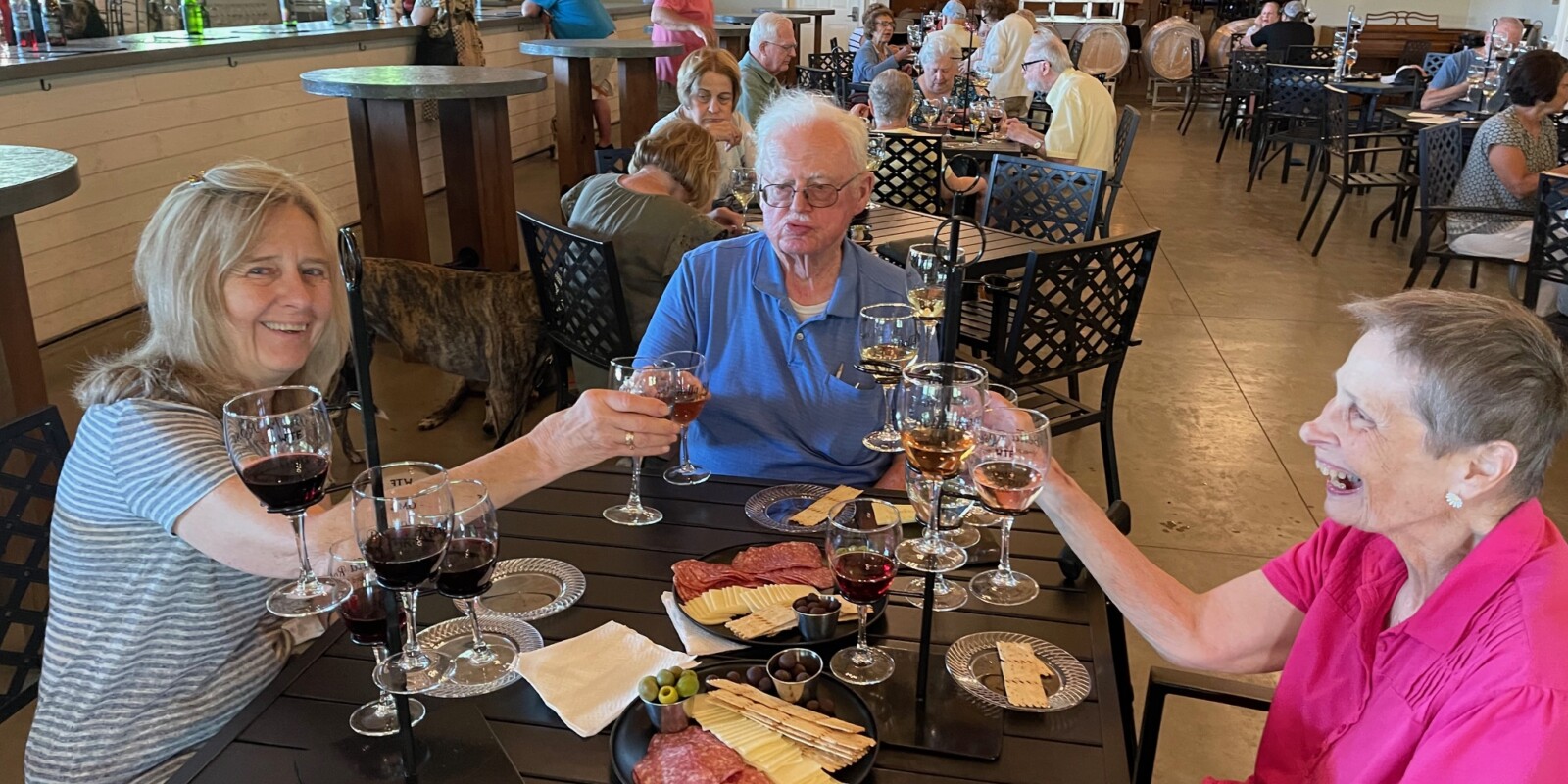 Enjoying Wine Tasting