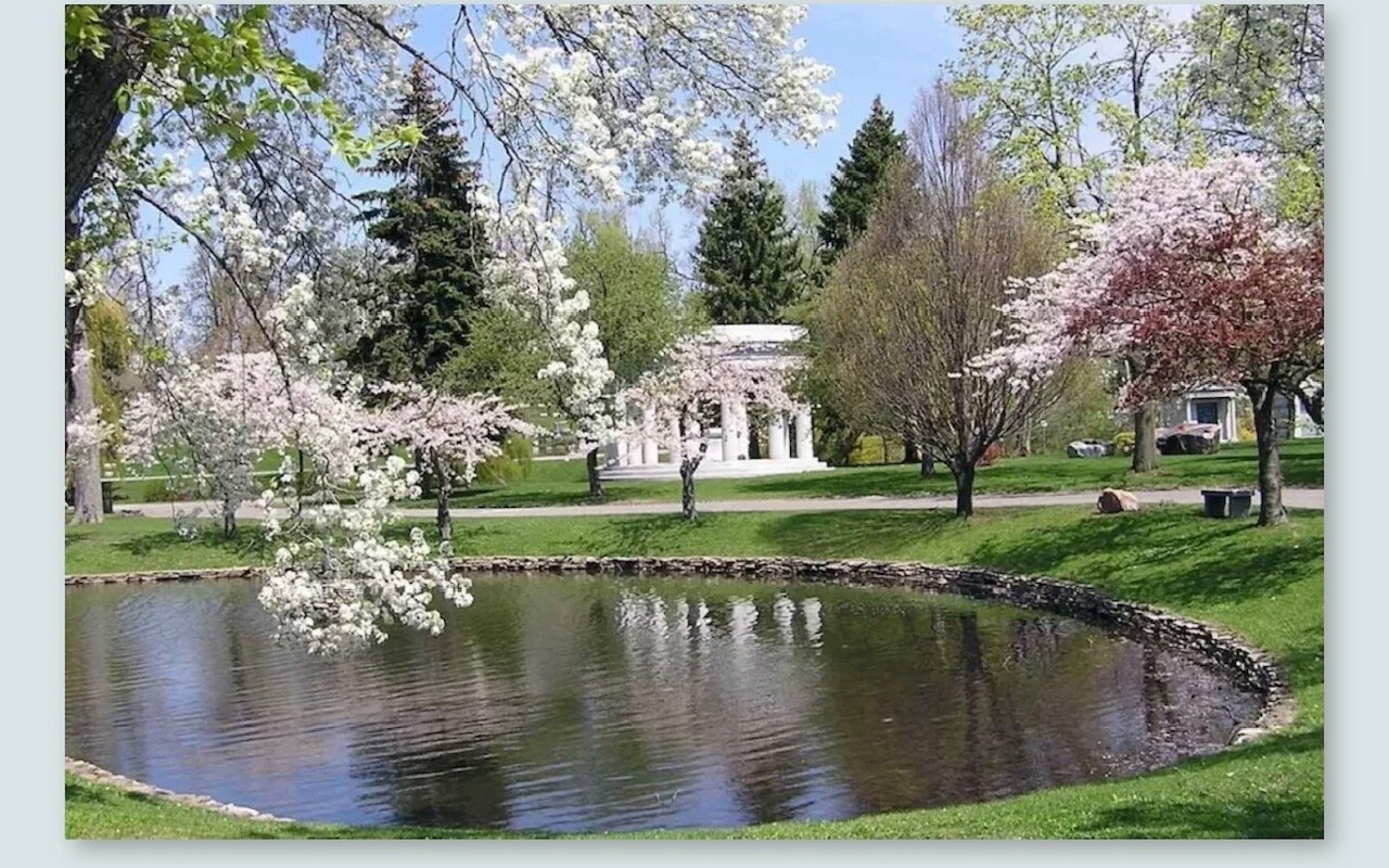 Forest Lawn pond