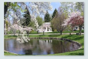 Forest Lawn pond