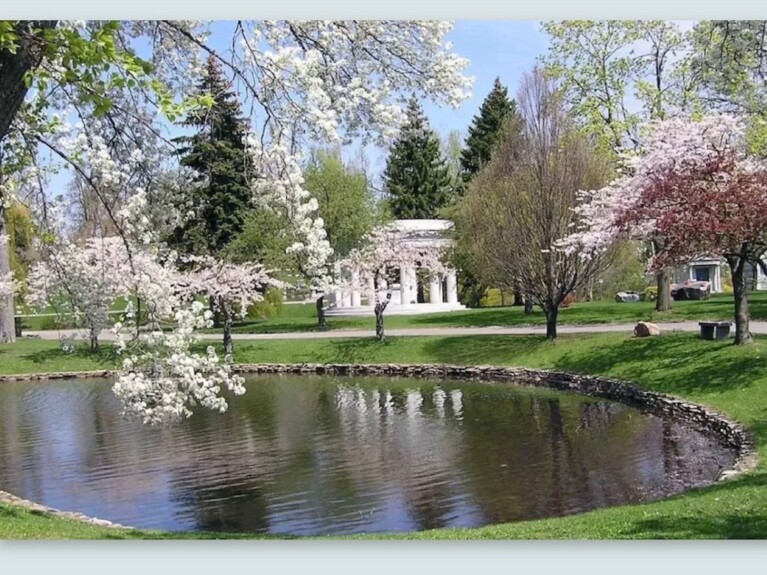 Forest Lawn pond
