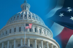 Image of capitol building with flag backdrop