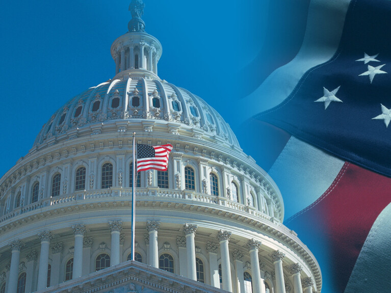 Image of capitol building with flag backdrop