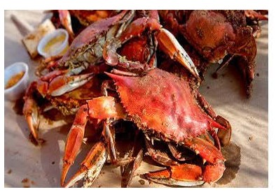 graphic of cooked crabs on a table