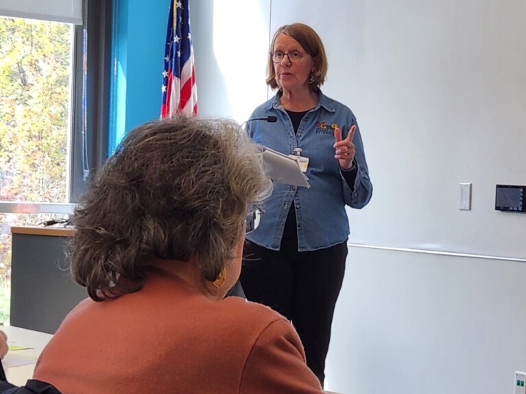 Woman by American flag and white board lecturing a woman seated at a table