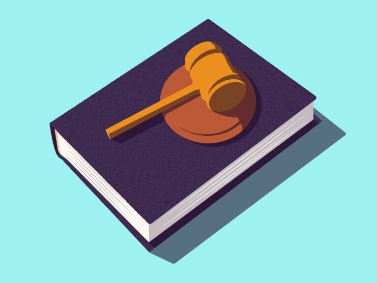 Image of a gavel sitting on a book