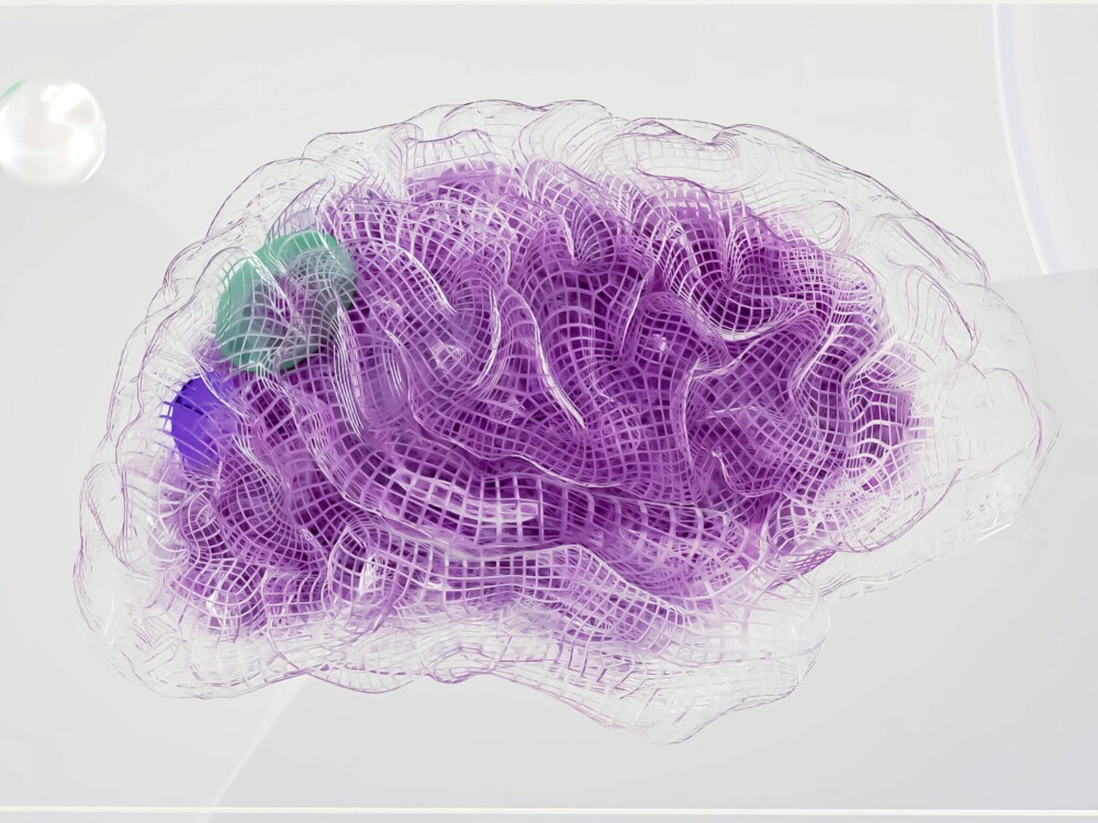stylized graphic of a side view of a brain in the color purple