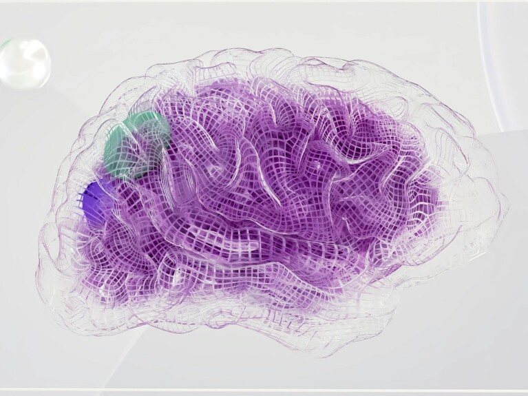 Brain Health Recipe