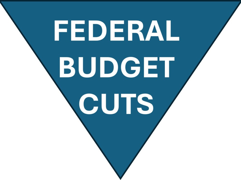 Triangle pointing downward with words Federal Budget Cut in middle