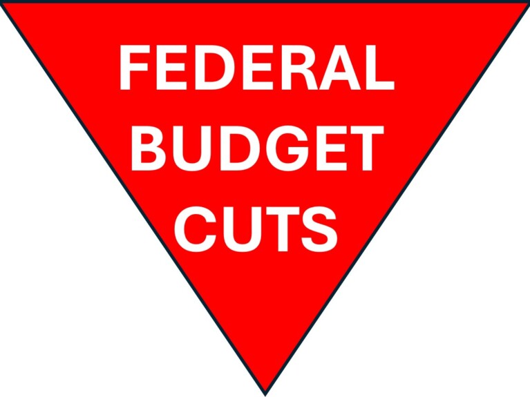 Triangle pointing downward with words Federal Budget Cut in middle
