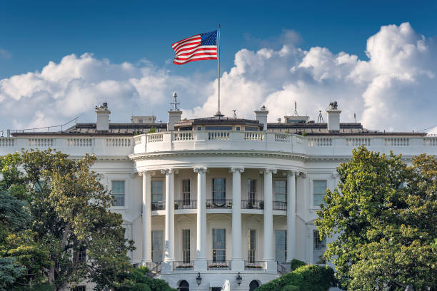 image of White House in D.C.