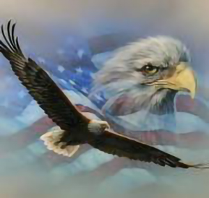soaring eagle, eagle headshot and an American flag unfurled