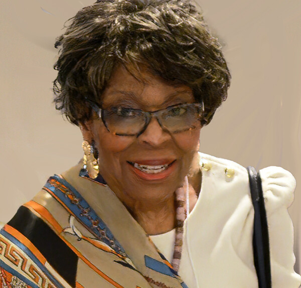 VFN Area 02 Vice President