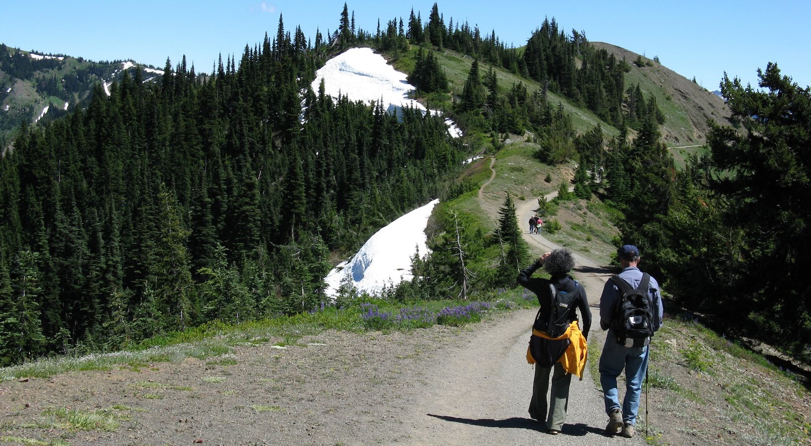 hikers on a trail in the mountains